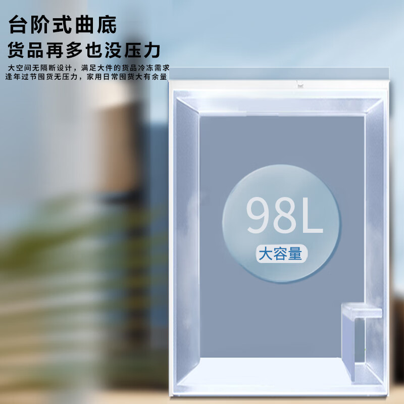白雪冷柜BD/C98DS家用小冰柜98升冷冻冷藏转换冷冻箱