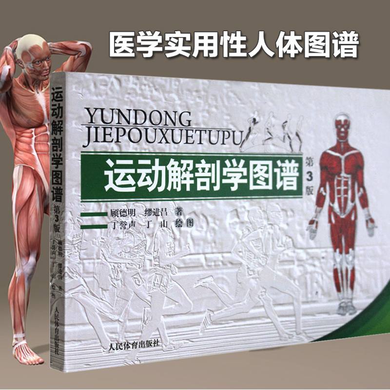 [正版]运动解剖学图谱/修订第3版/顾德明/人民体育 医学实用性人体图谱 医学临床工具书 运动生理学医学 人体解剖学教高清大图