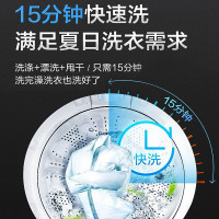 海尔(Haier) 8公斤全自动波轮洗衣机家用大容量节能洗衣机 智能自编程 XQB80-Z1269