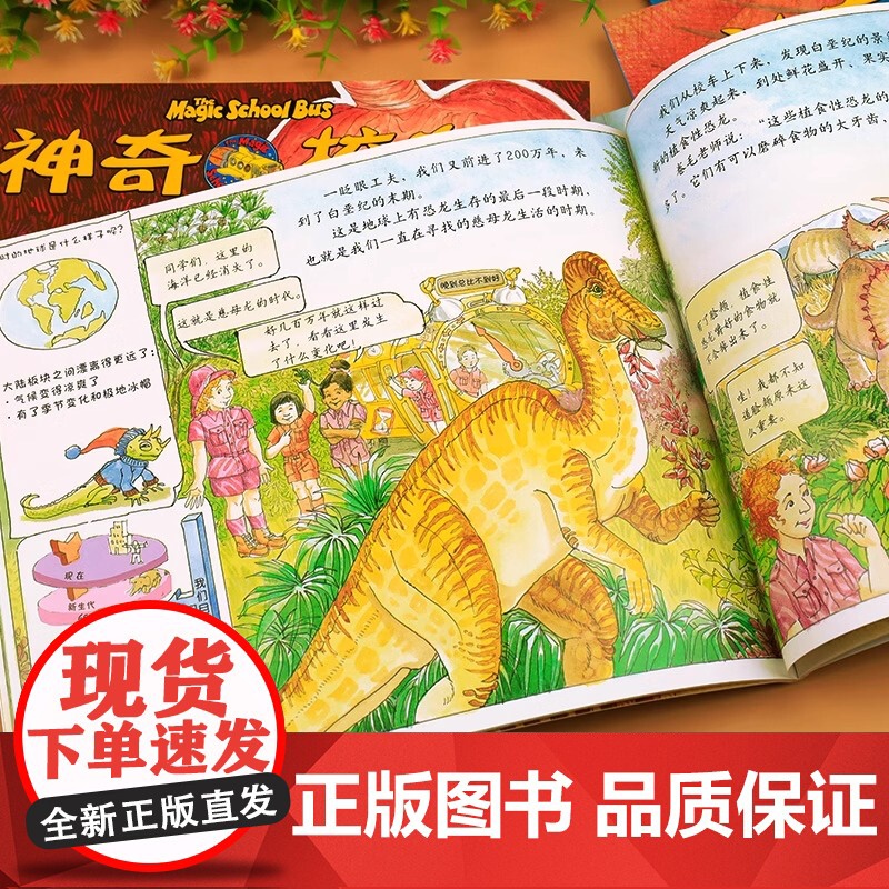 神奇的校车第一辑全套12册一年级注音版桥梁书阅读1-2年级二年级上下册通用人文体中游览水的故事探索人体贵州人民出版社正版高清大图