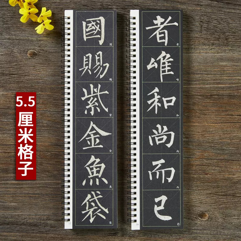 [正版]柳公权玄秘塔碑 名家碑帖近距离临摹卡(2卷全文米字格单字放大本)放大版米字格碑帖附简体旁注 柳体楷书书法毛笔练高清大图