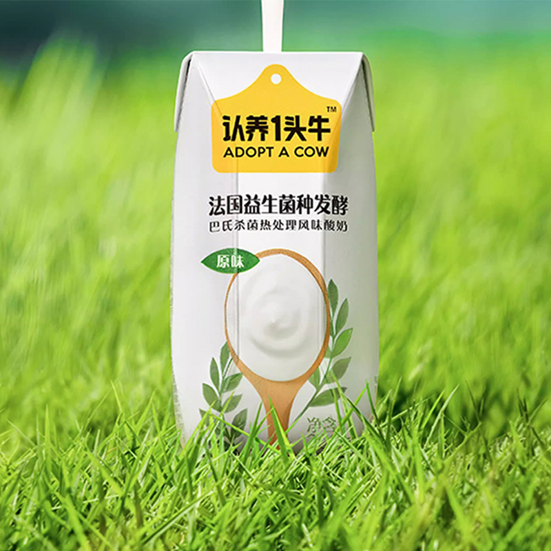 原味常温酸奶早餐酸牛奶 200g*12盒*1提高清大图