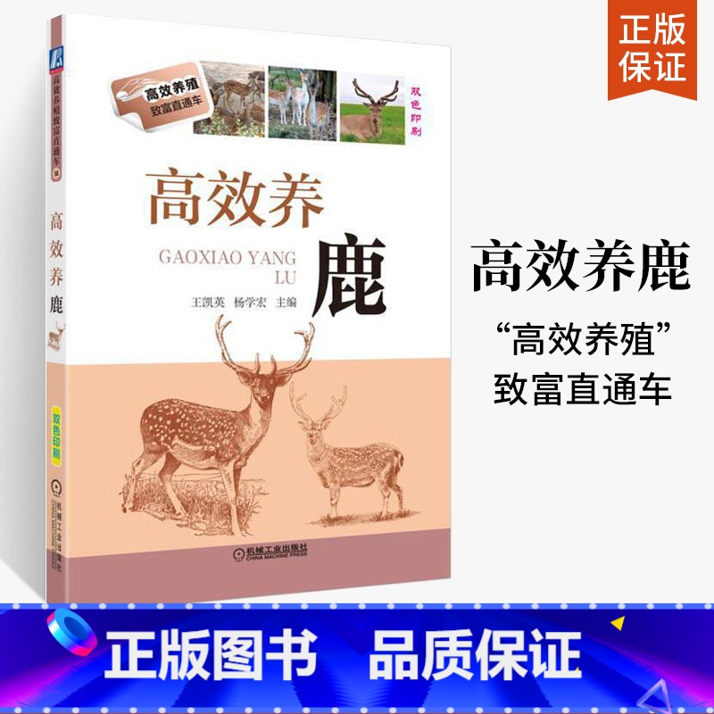 [正版]高效养鹿 梅花鹿养殖书籍 鹿养殖技术资料大全 养鹿书籍 马鹿水鹿坡鹿白唇鹿饲养书籍 饲料配制 鹿疾病防治产品加