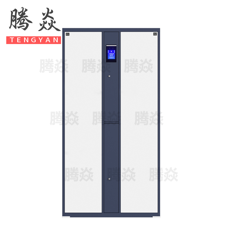 腾焱智能更衣柜二门台高清大图