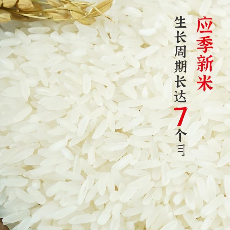 陇间柒月 五月 富硒大米5kg(C01)高清大图