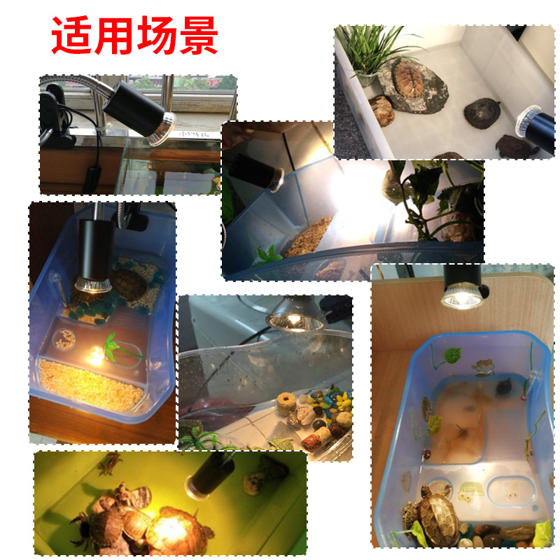 乌龟晒背灯太阳灯龟灯乌龟缸爬宠陆龟多角度调节加热保温灯高清大图