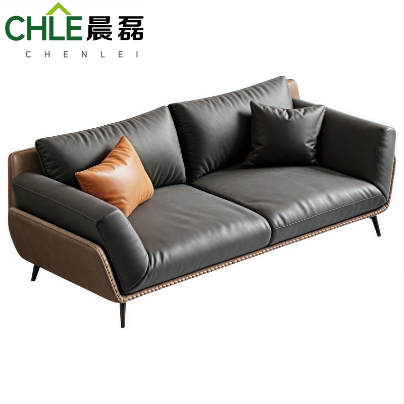 晨磊 洽谈沙发 双人位 张高清大图