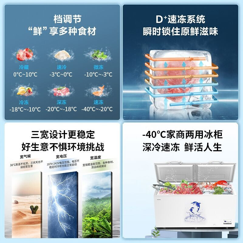 澳柯玛(AUCMA)超低温冰柜商用大容量 冷柜卧式单门家用冷冻柜BC/BD-325ND
