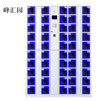 峰汇园智能手机柜存放柜充电柜存包柜储物柜50门充电透明款