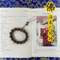 秽迹金刚广论-释本学上师