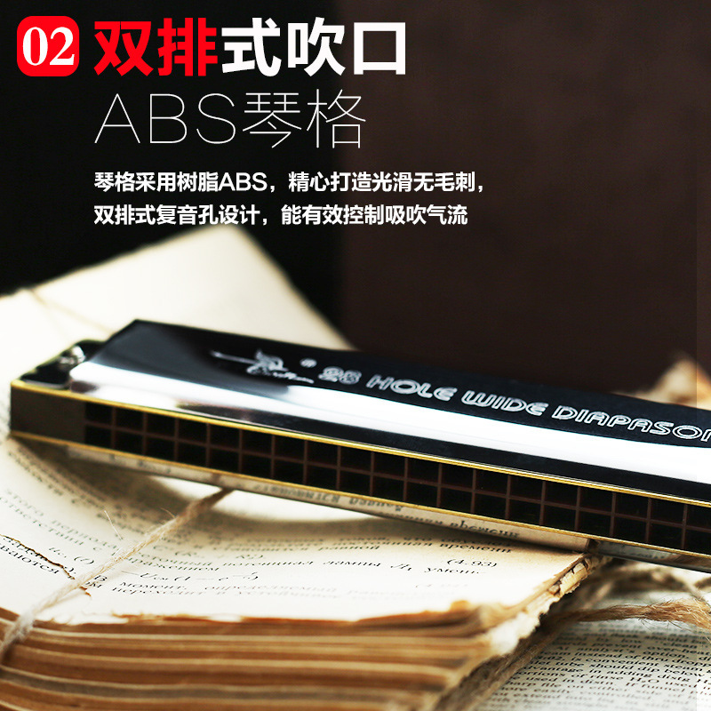 天鹅口琴复音重音28孔宽音域c调初学者成人比赛专业演奏乐器