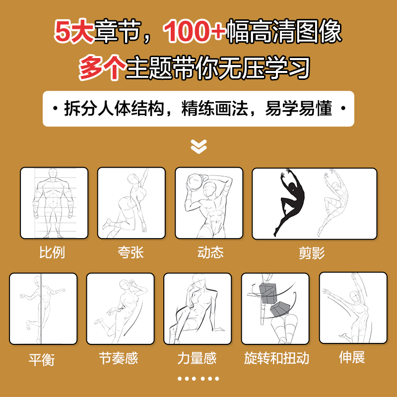 [正版]理解人体结构 动态训练 人体结构绘画教学理解人体形态素描速写教程艺用动态解剖漫画人体动态结构游戏动漫人体结构手高清大图