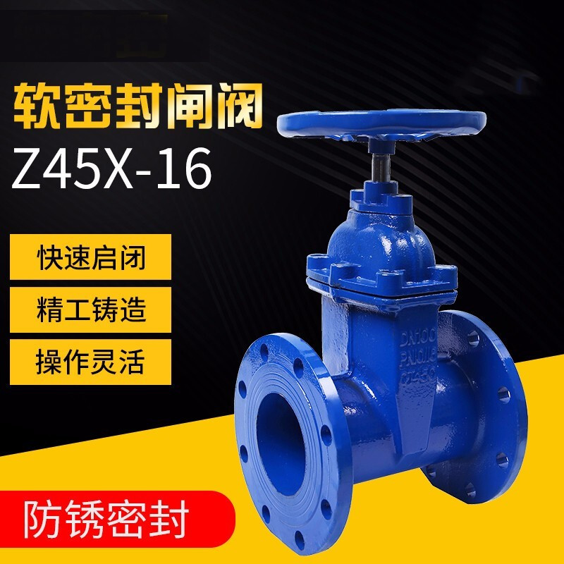 晶飞定制闸阀国标法兰弹性座Z45X-16 封暗杆闸阀消防自来水阀门 DN65[国标重体] DN65