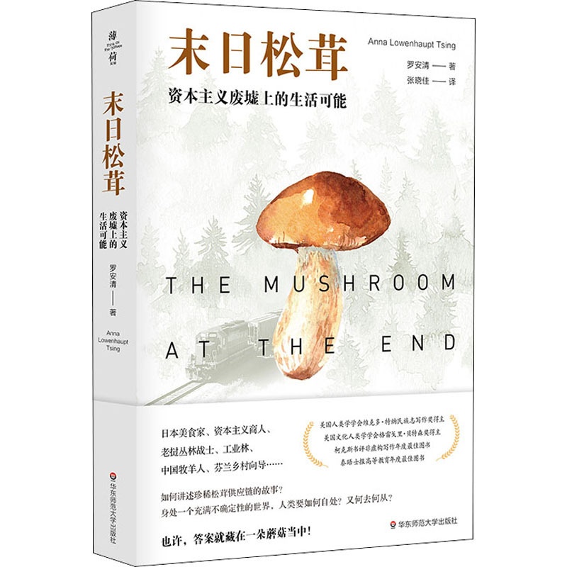 [醉染正版]末日松茸 资本主义废墟上的生活可能 (日)罗安清 著 张晓佳 译 经济理论、法规 经管、励志 华东师范大学出高清大图