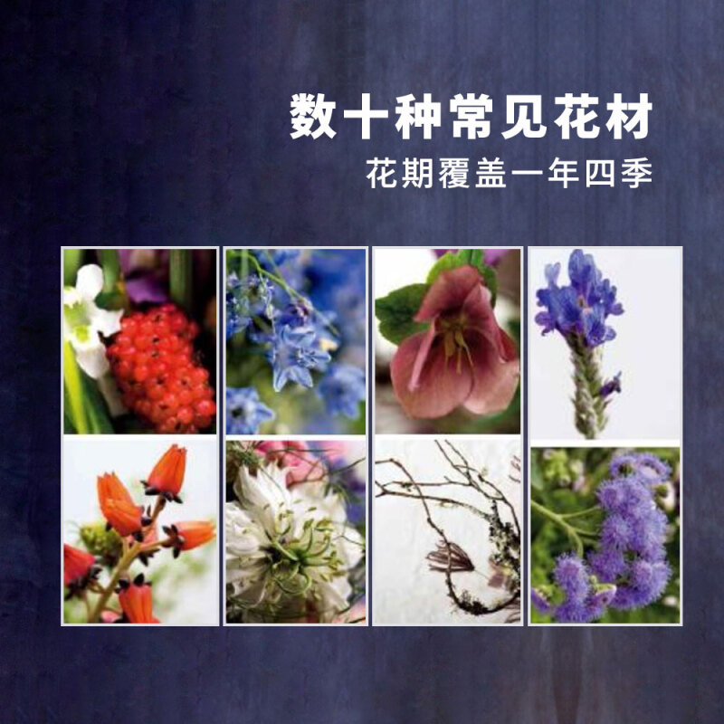 [正版]法式自然风手绑花 花艺设计技法指南基础教科书花束技法与基础造型叶材的使用技法花艺配色基础与实践书籍高清大图