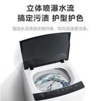美的（Midea）MB80ECO 波轮洗衣机 8公斤全自动家用宿舍大容量免清洗立方内桶新品 白色