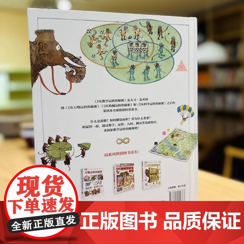 DK数学运转的秘密7-12中小学生课外阅读数学科普入门启蒙书少儿童百科中小学生三四五六年级暑假期课外阅读百科全书籍科普读高清大图