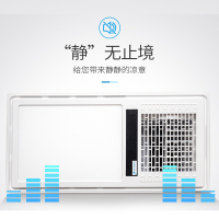 巴斯博奥 凉霸 300X600照明换气吹风多功能厨房智能凉霸 按键款