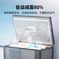 星星(XINGX) 303升家商两用冷柜保鲜冷冻冰柜 减霜冷柜 冷藏冷冻囤货冰箱节能省电 BD/BC-303QE
