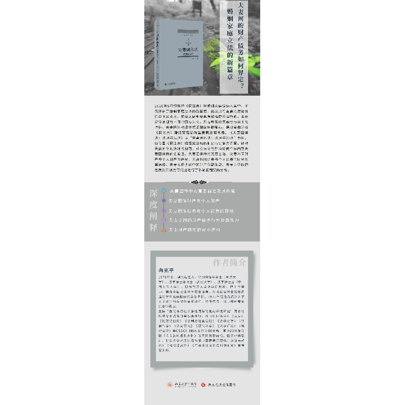 正版新书]夫妻团体法 法理与规范冉克平9787301327968高清大图