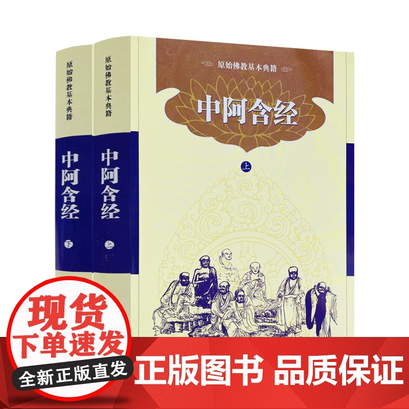 新版 北传四阿含经套装(平装共7册简体横排) 长阿含经 中阿含经上下册 杂阿含经上下册 增壹阿含经上下册 宗教文化高清大图