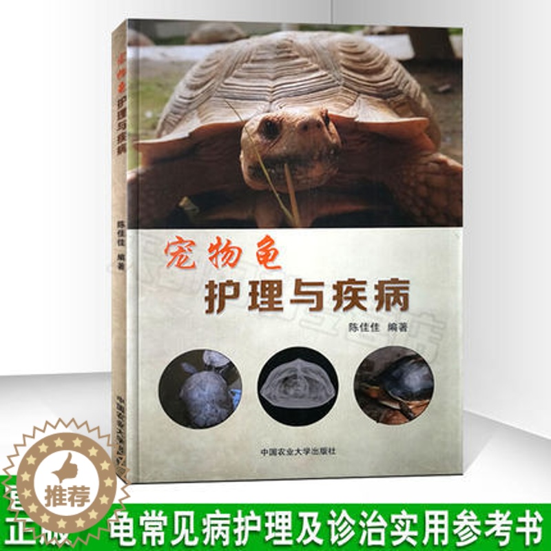 [醉染正版]宠物龟护理与疾病 陈佳佳编著 宠物龟护理疾病防治 龟病防治诊治预防技术大全一本通 乌龟宠物龟喂养入门新手教程高清大图