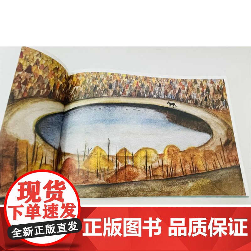 我在所有的秘密里爱你 蓝蓝/著 诗歌 纯粹出品 广西师范大学出版社高清大图