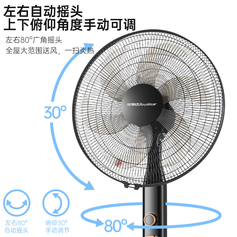 荣事达落地扇家用电风扇定时摇头加密铁网罩16寸大风力电扇FS40-B16(H)高清大图