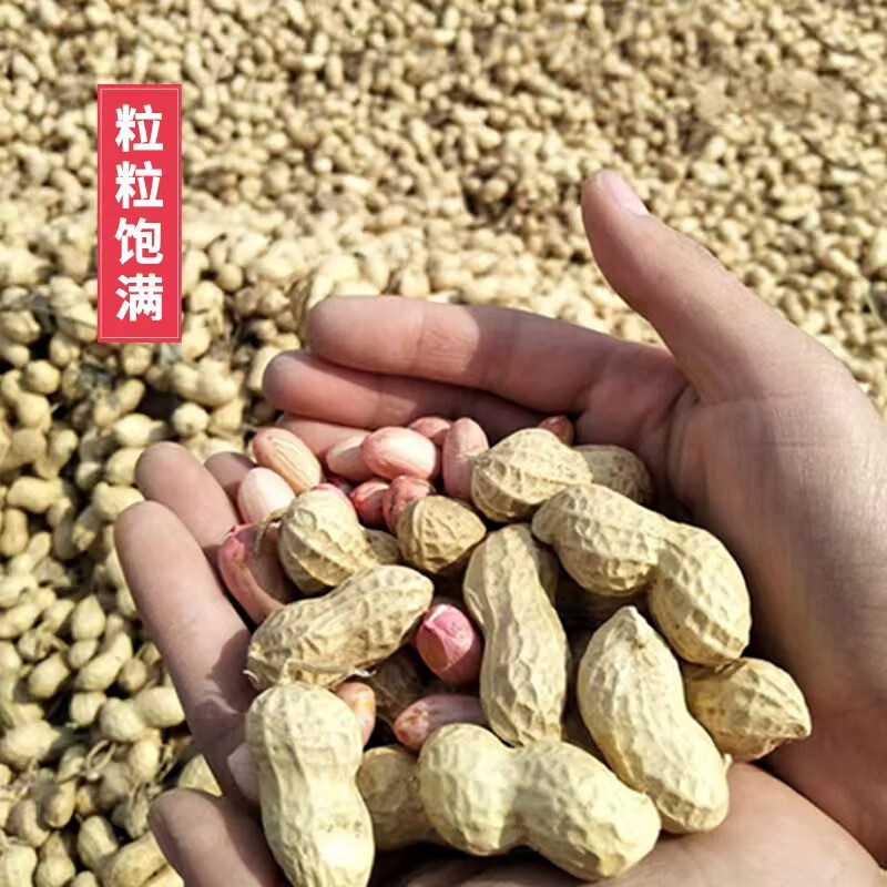 今粮道 帮扶助农5L古法压榨原香花生油JLD018高清大图