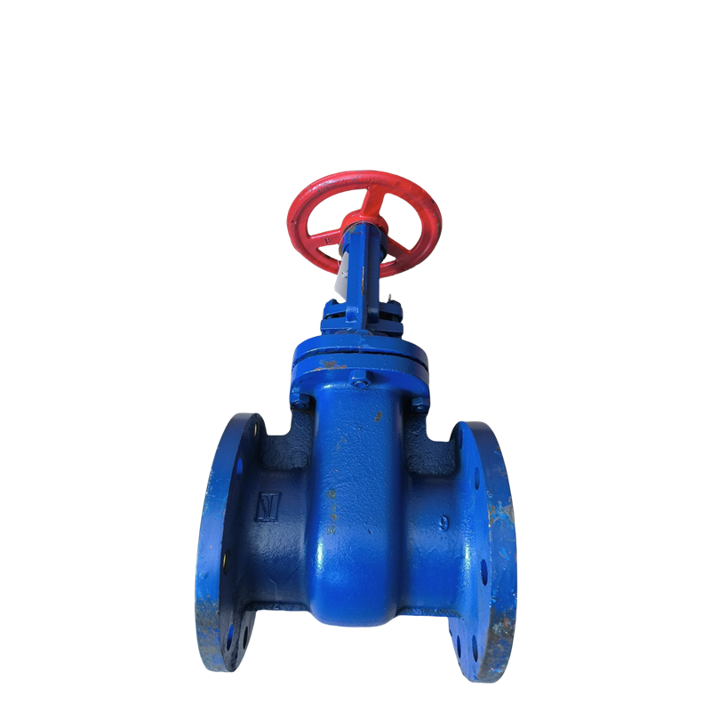 时速 铸铁明杆法兰闸阀 Z41T-16L DN250 个高清大图