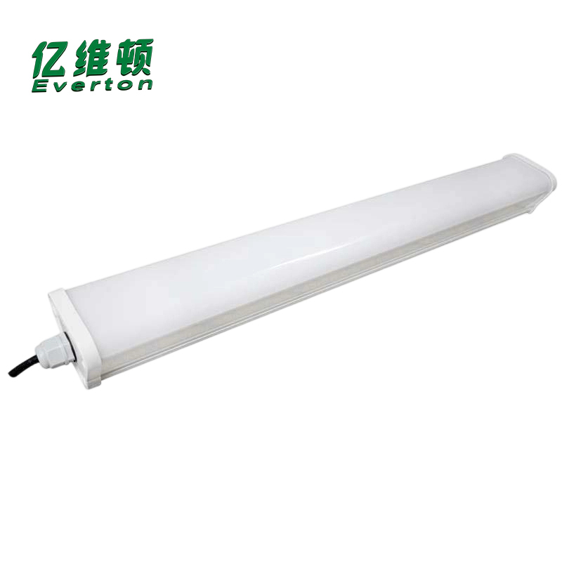 亿维顿 三防灯白光 40W 个