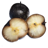 东北冻梨 2kg 苹果梨冻秋梨黑冻梨 新鲜黑梨子水果 一箱