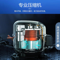 美菱 (MELING) 立式家用冰吧 冷藏保鲜迷你展示柜 茶叶水果护肤品小型冰柜SC-59