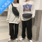 FENGHOU潮牌日系胸包男士ins简约单肩包腰包背包小挎包女帆布学生斜挎包腰包男