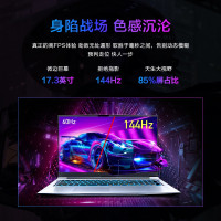 [2021款]机械革命(MECHREVO)蛟龙7E 17.3英寸游戏本赛博朋克笔记本电脑 蛟龙R7-4800H 16G 512G固态+2T机械 RTX3060满血版 144Hz定制