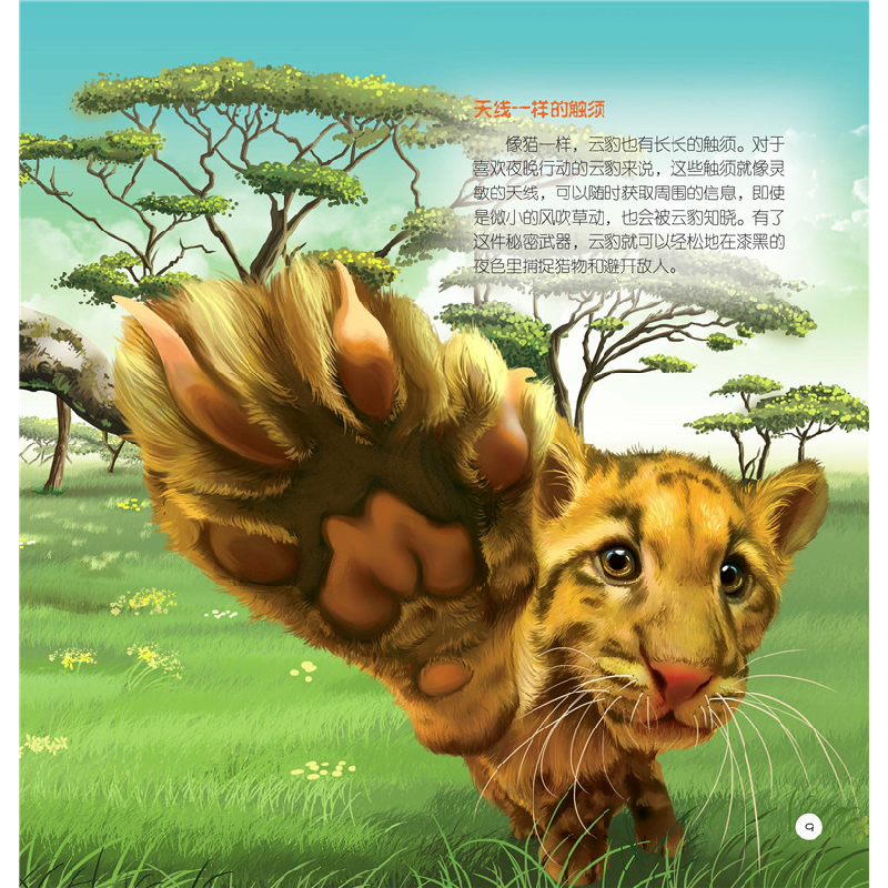 醉染图书童眼识天下科普馆.森林动物9787120224高清大图