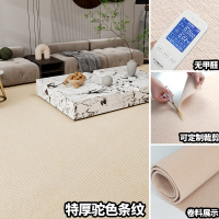 东凯汇普 房间地毯 1m*2m 块