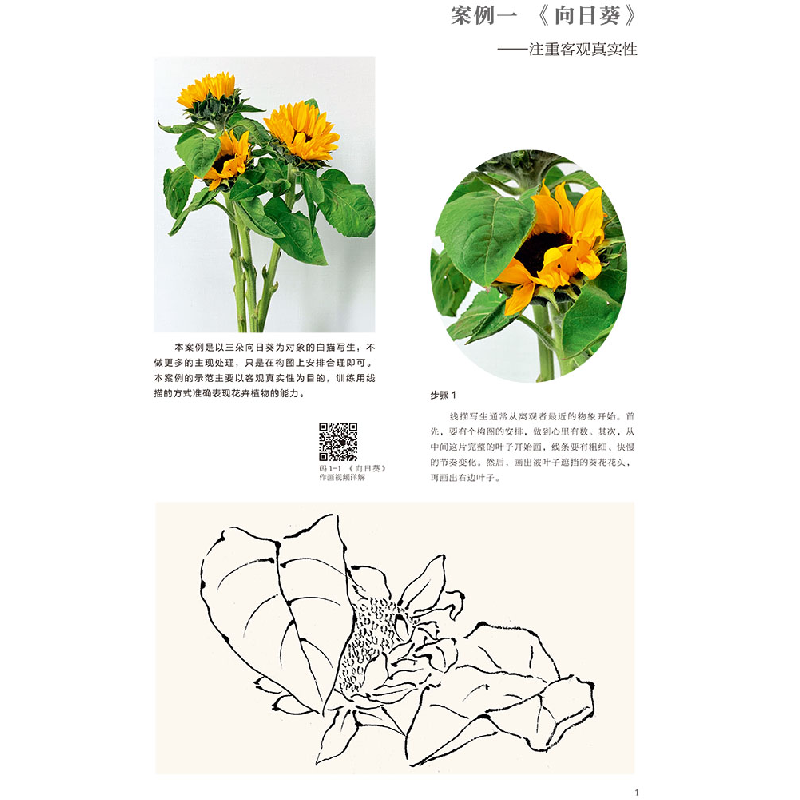 正版新书]线描写生教学临摹范本刘明孝9787569713749高清大图