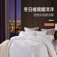 罗莱家纺 暖芯澳毛被 R8008