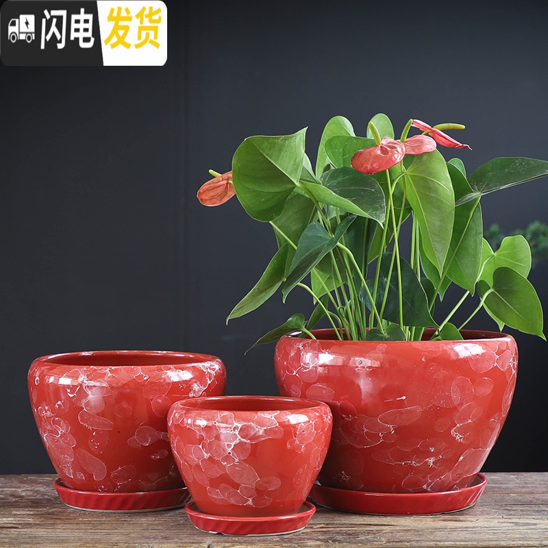 三维工匠北欧简约花盆陶瓷大号带托盘蝴蝶兰创意兰花绿萝绿植多肉花盆 S1CZ-水晶紫-1单个 中等花盆容器高清大图