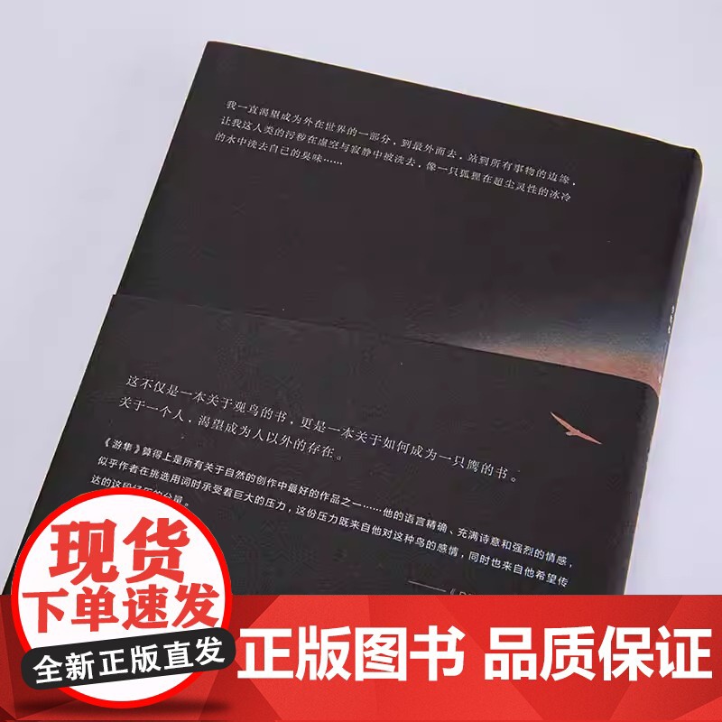 游隼 J. A. 贝克 著 自然文学 绝版经典 影响超过半个世纪的伟大杰作 一本关于如何成为一只鹰的书 理想国图书正版书高清大图