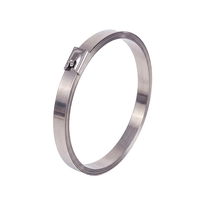 斯赞 304不锈钢扎带自锁式捆绑扎带 19*3000mm 根高清大图