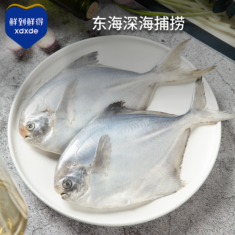 鲜到鲜得 东海鲳鱼-400g*4联包高清大图