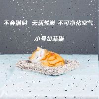 猫咪生日礼物教师节送女生闺蜜姐妹女朋友女儿少女心创意毛绒玩偶 小号加菲猫单只装[不会叫]不净化空气 收藏加购闪电发货