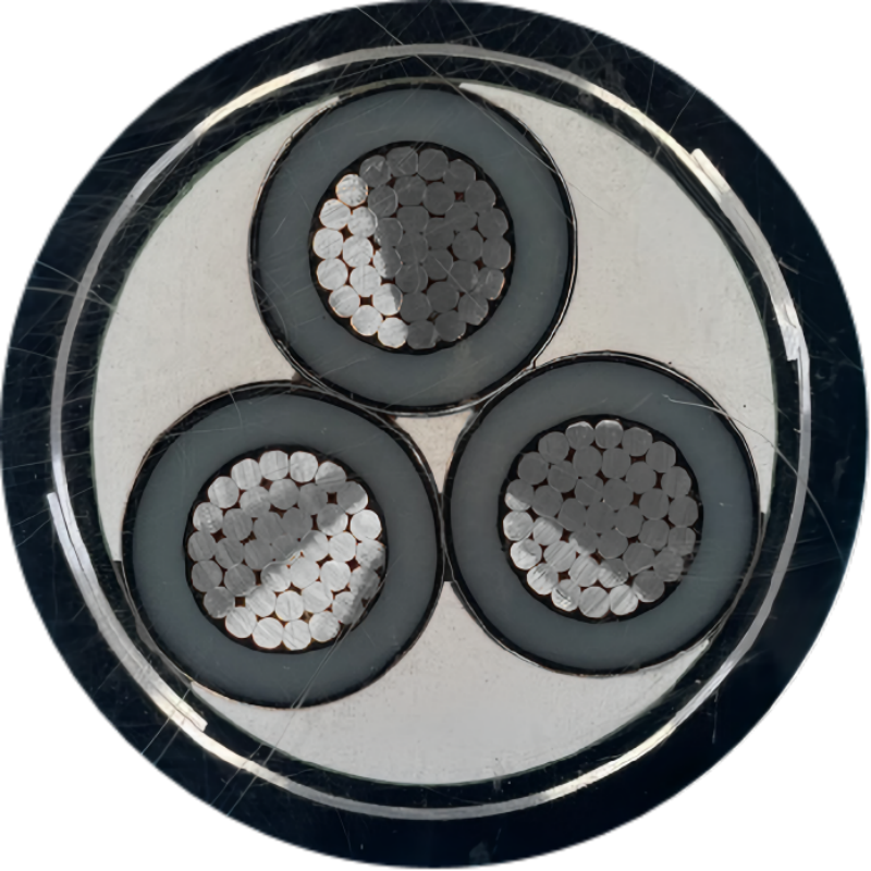 希飞牌 YJLV22-0.6/1KV-3*10mm²铝芯铠装电缆 元/米 定制商品 联系客服高清大图