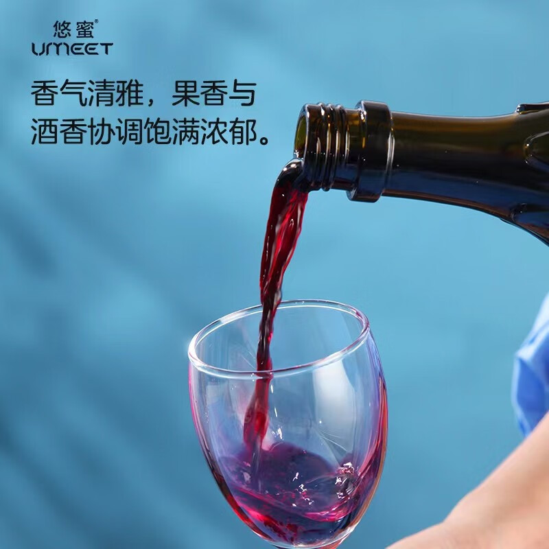 悠蜜蓝莓精酿(蓝莓酒)遇见·蓝雪 12度半干型聚会小酌女神 450ml*12瓶 整箱装