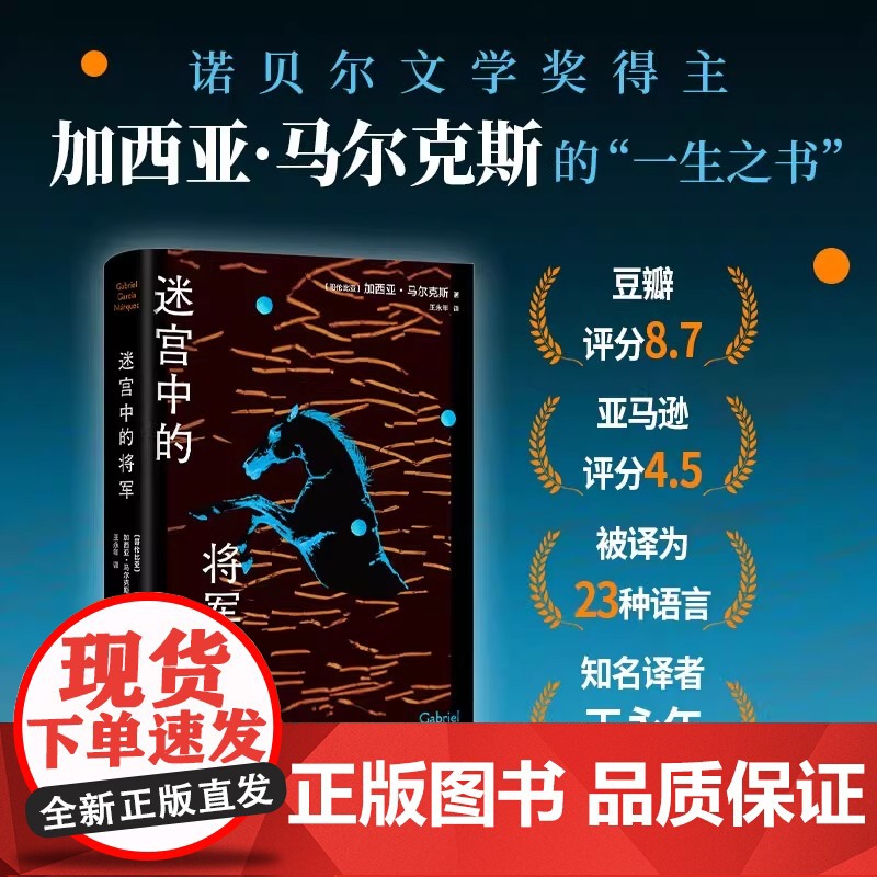 迷宫中的将军 百年孤独作者一生之书 马尔克斯对一位非凡人物的至深致敬豆瓣高分经典 非魔幻现实主义版百年孤独 外国文学