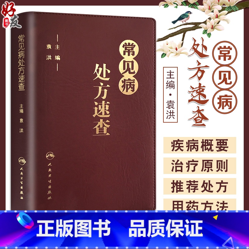 【正版】常见病处方速查 袁洪主编 常见病处方手册常见病处方速查医学 药学中药人民卫生出版社 口袋书籍 治疗原则 实用性
