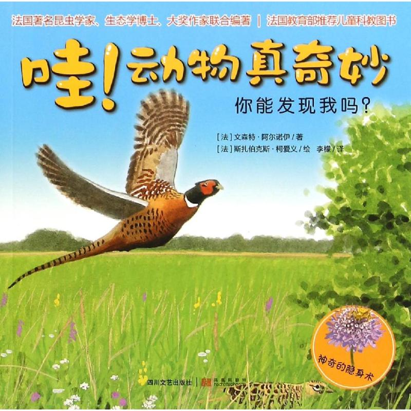 醉染图书你能发现我吗?/动物真奇妙9787541141416高清大图