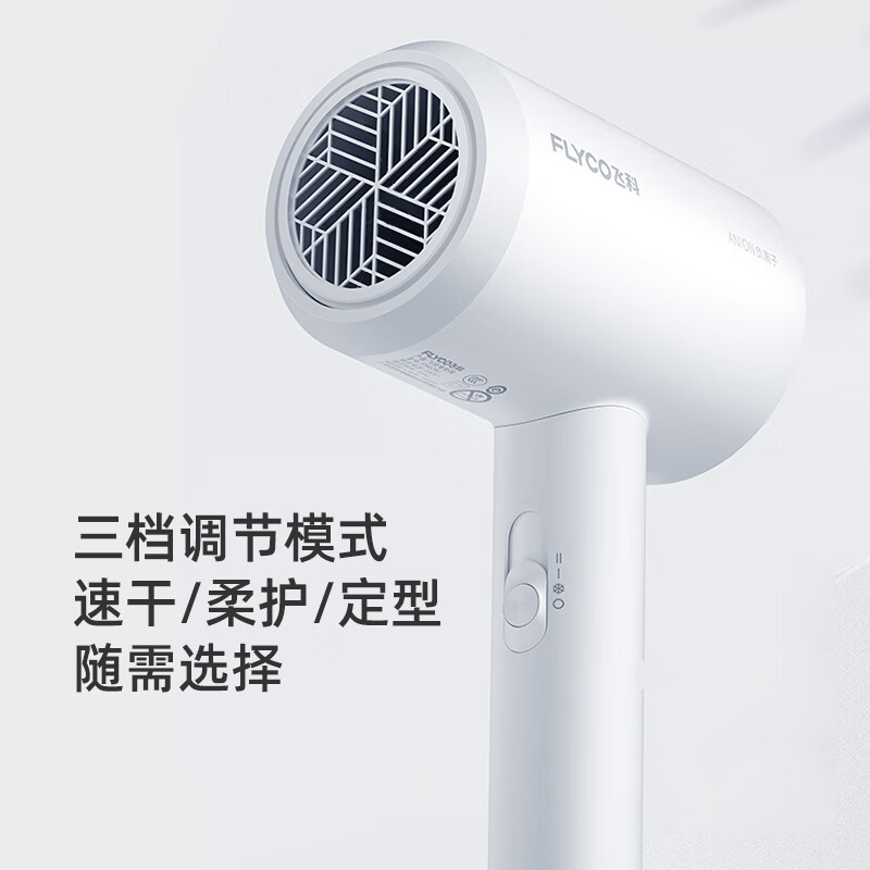 飞科 FLYCO 电吹风机FH6290高清大图